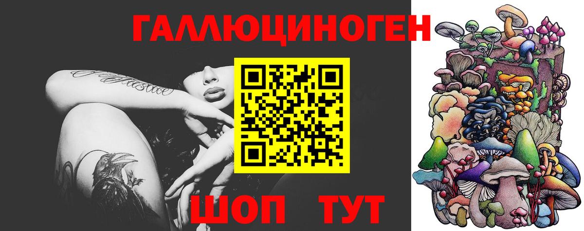 Воронеж  Галлюциногенные грибы Psilocybe  Вход с VPN  купить наркоту  Псилоцибиновые грибы GOLDEN TEACHER 