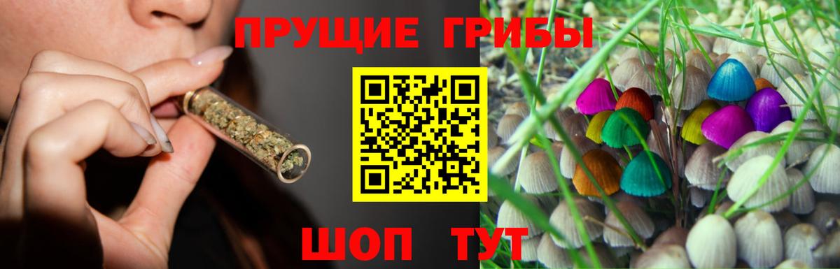 Псилоцибиновые грибы Magic Shrooms Воронеж