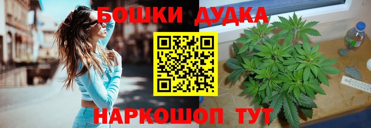 Бошки марихуана индика  Вход с VPN  Марихуана VHQ  Канабис марихуана  Воронеж 